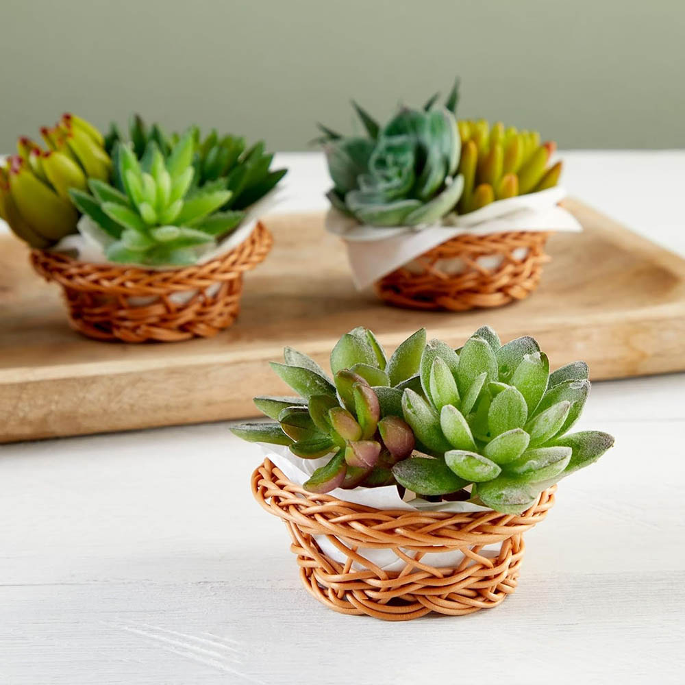 Набор миниатюрных плетеных кор – обзор и цена Woven Basket Set